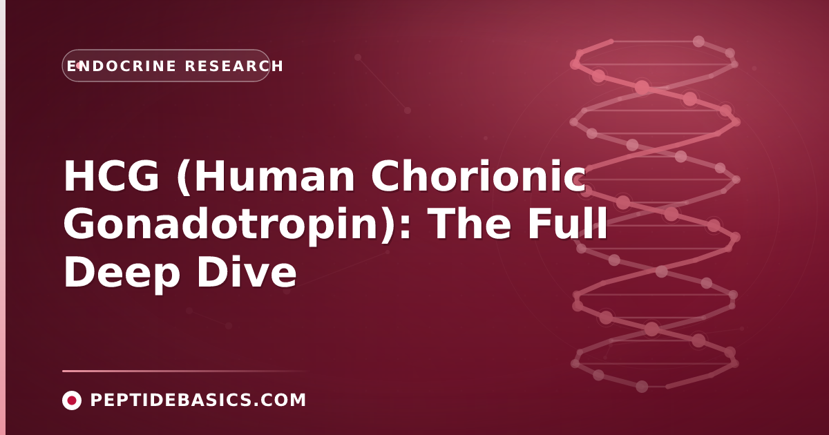 HCG (Human Chorionic Gonadotropin): The Full Deep Dive — Endocrine Research